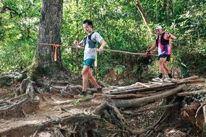 BIB: 
                            <button type="button" onclick="openModal(27556587)" class="btn btn-primary btn-sm float-right btn-popup" data-toggle="modal" data-target=".modal-high-quality">
                        <i class="fas fa-shopping-cart"></i> Add to Cart
                    </button>
                                            <button type="button" onclick="isThisMe(27556587, true)" class="btn btn-success btn-sm float-right btn-popup btn-isme hidden" data-toggle="tooltip" data-placement="bottom" title="นี่คือรูปของคุณใช่ไหม คลิกที่นี่เพื่อเอาเข้าอัลบั้ม">
                        <i class="fas fa-plus"></i> Add to album
                    </button>
                    <button type="button" onclick="isThisMe(27556587, false)" class="btn btn-warning btn-sm float-right btn-popup btn-isnotme hidden">
                        <i class="fas fa-ban"></i> Remove from album
                    </button>